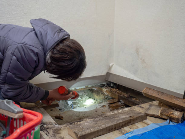 Best Comprehensive Air Testing for Mold Contaminants  in Ainaloa, HI