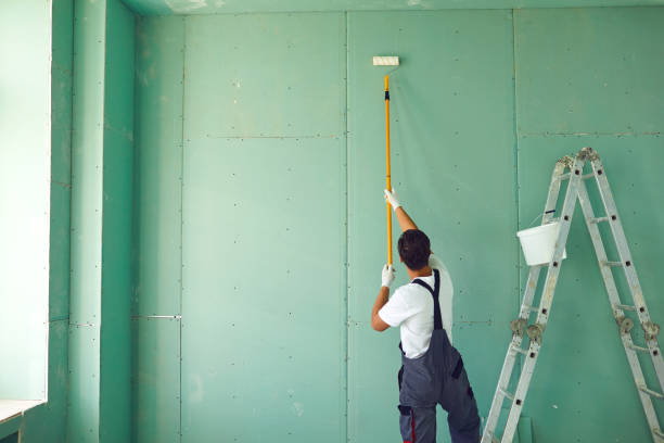 Best Mold Documentation for Insurance Claims  in Ainaloa, HI