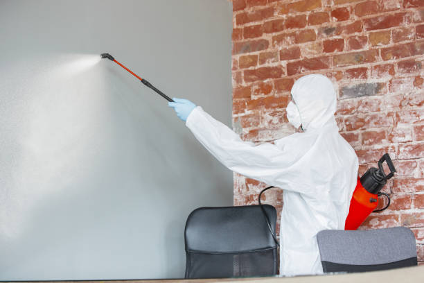 Mold Documentation for Insurance Claims in Ainaloa, HI