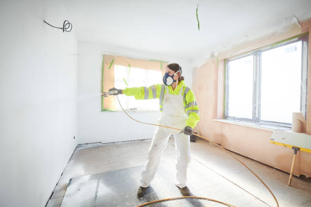 Best Post-Construction Mold Inspection  in Ainaloa, HI