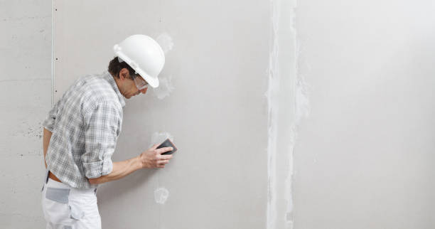 Best Mold Removal for HVAC Installations  in Ainaloa, HI