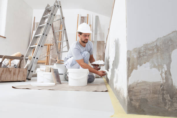 Ainaloa, HI Mold Removal Company