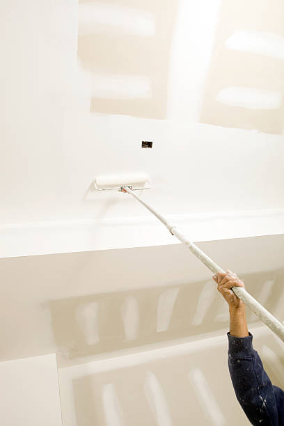 Environmental Consulting for Mold Prevention in Ainaloa, HI