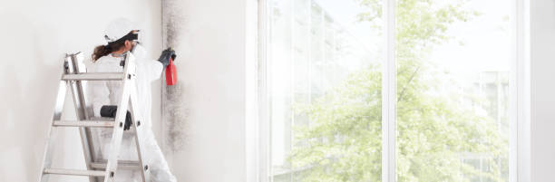 Best Forensic Mold Investigation  in Ainaloa, HI
