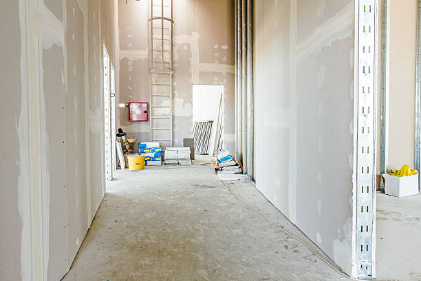 Best Mold Remediation for Healthcare Facilities  in Ainaloa, HI